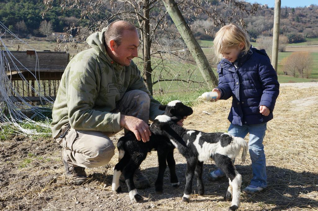 Domaine Du Bas Chalus Villa Forcalquier Kültér fotó